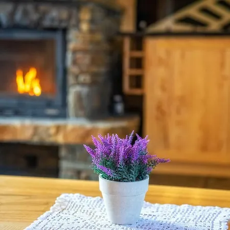 Ze Hej Z Sauna Lub Kominkiem زاكوباني